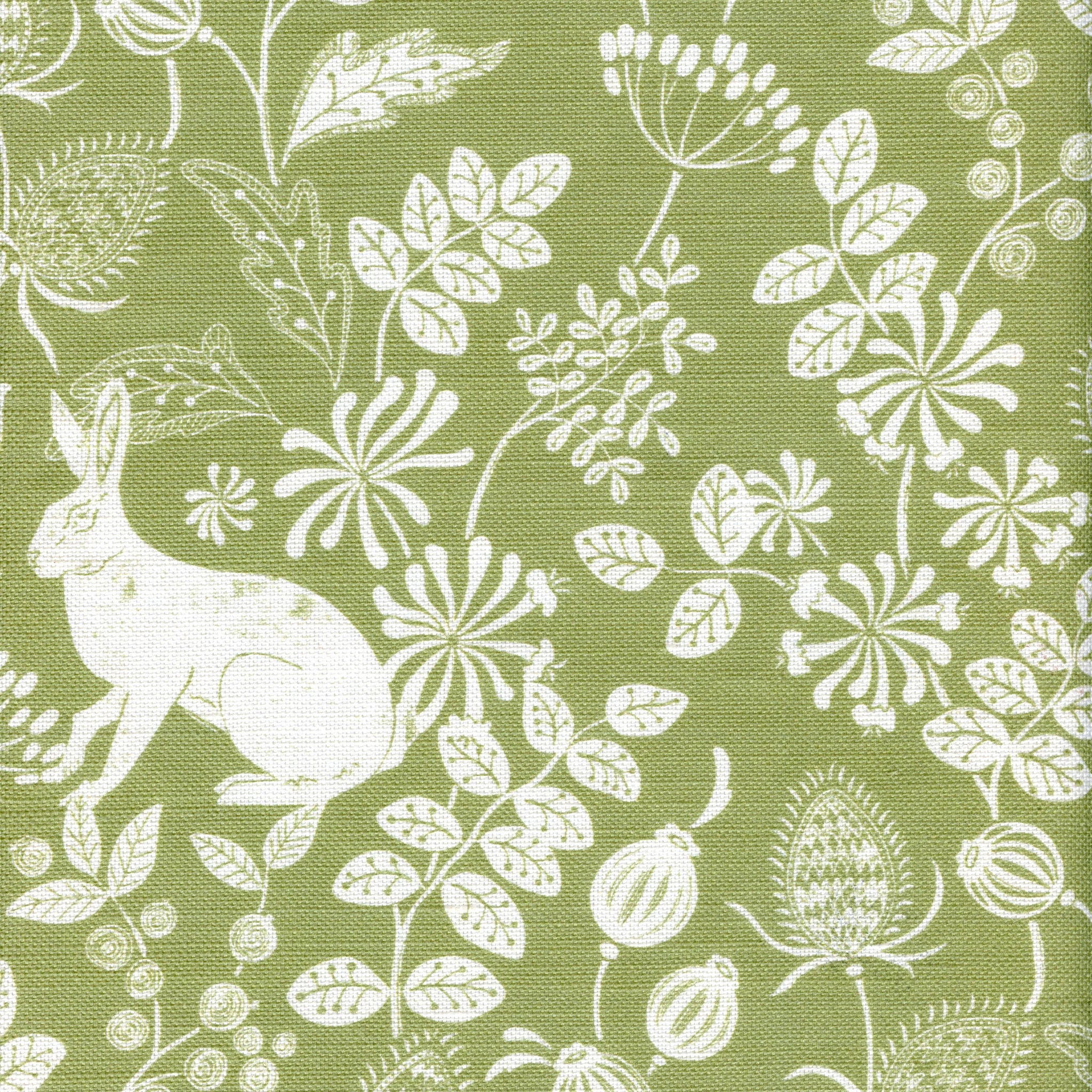 Bexington Hare - Meadow Green