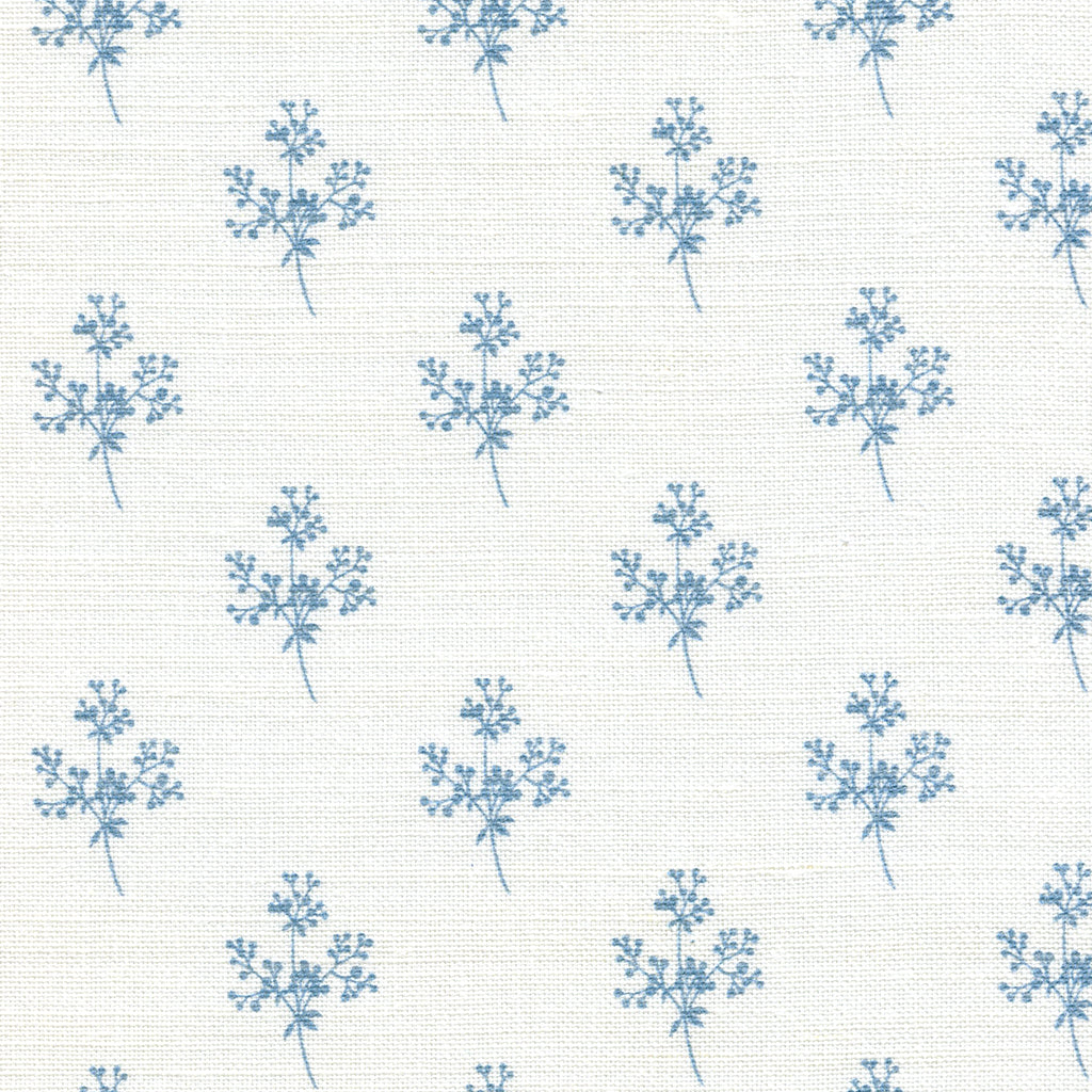 Aria   - Damsel Blue On White