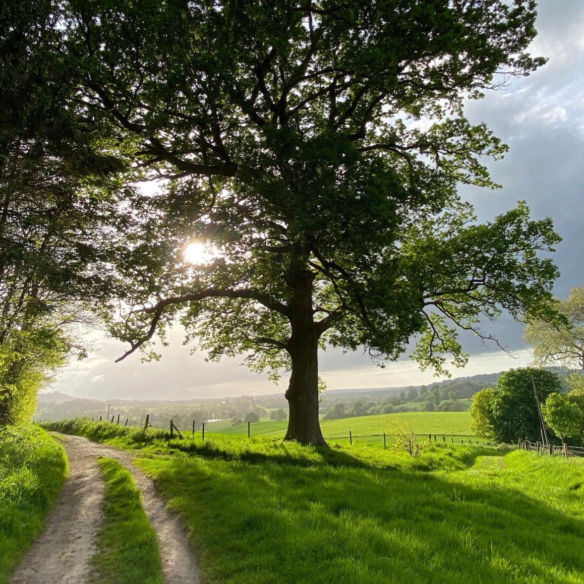 Country Walks Around Shaftesbury