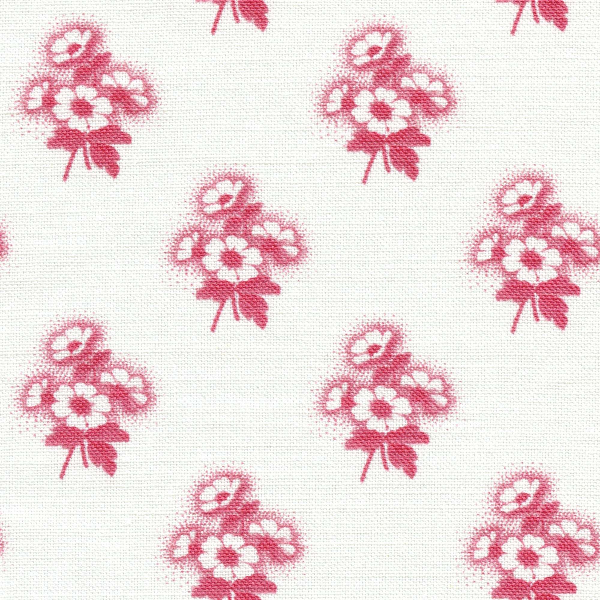 NEW Marguerite - Wild Raspberry