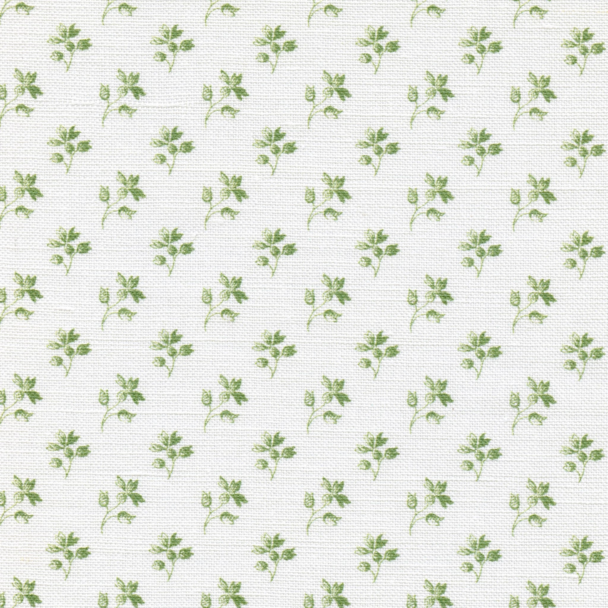 Ava - Orchard Green On White