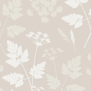 Cow Parsley Wallpaper- Somerset Stone