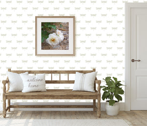 Dragonfly Wallpaper - Millstone On White